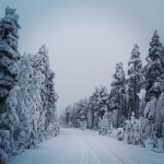 finlande-ns