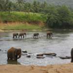 sri-lanka