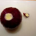 Fleur d&rsquo;oignon frit 4