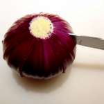 Fleur d&rsquo;oignon frit 6
