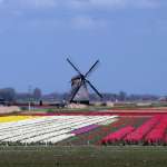 hollande