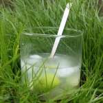 Cap-Vert Viane