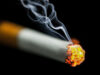 Piqures de moustiques et cigarette