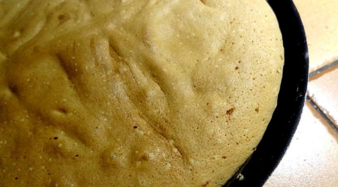 Génoise sans gluten 10