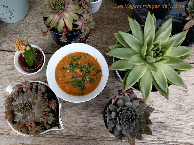 Potage à la tomate et à l'avocat