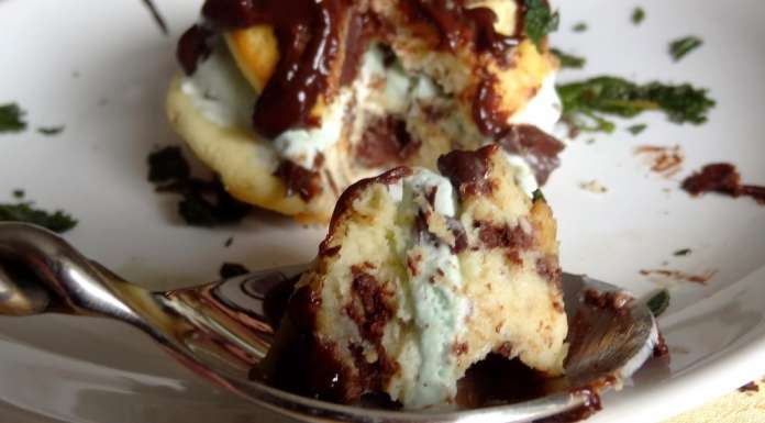 Dessert glacé total chocolat menthe 10