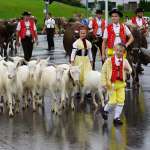 Suisse