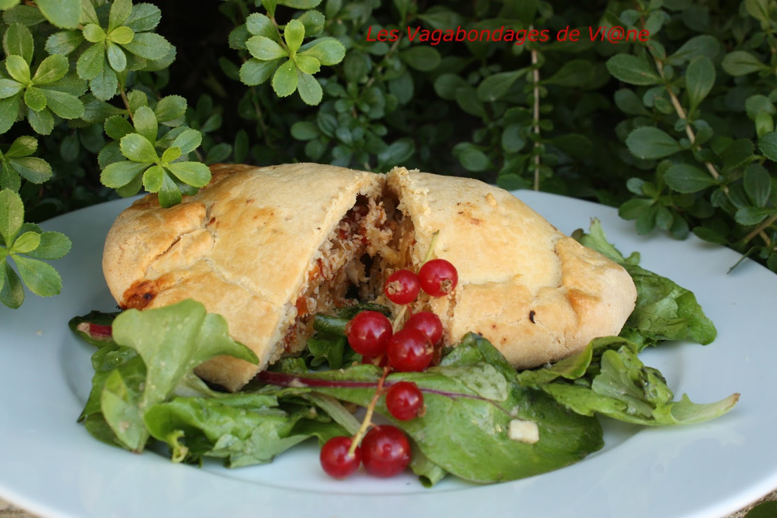 Tourte botswanaise