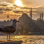 Turquie