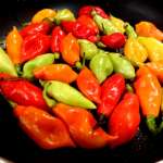 canapes-aux-piments-vegetariens-2