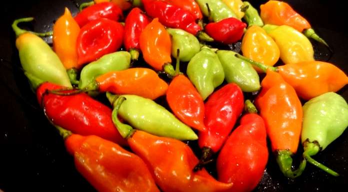 canapes-aux-piments-vegetariens-2
