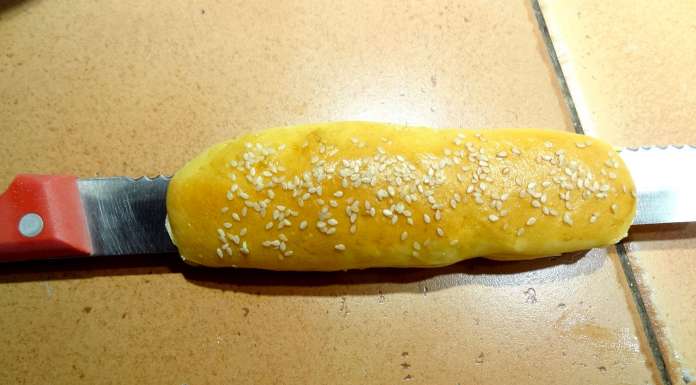 slaw-dog-2