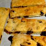 biscuits-garibaldi-11