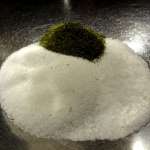 gravlax-au-miel-2