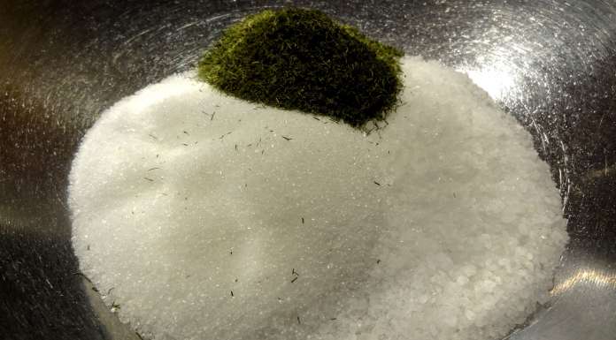 gravlax-au-miel-2