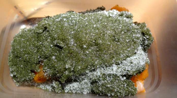 gravlax-au-miel-5