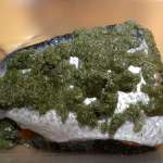 gravlax-au-miel-7