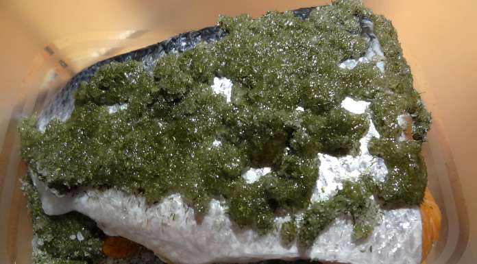 gravlax-au-miel-7
