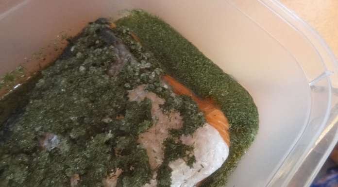 gravlax-au-miel-8