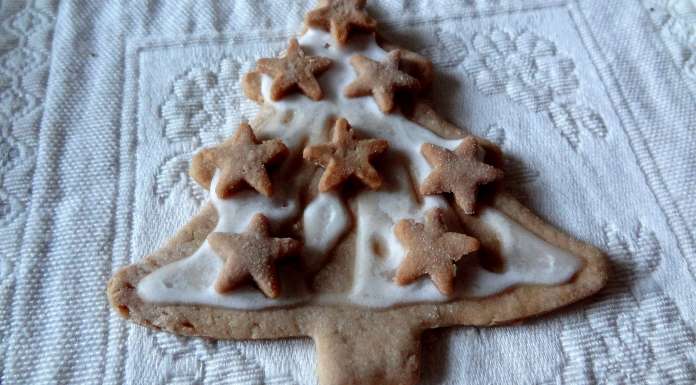 pate-a-biscuits-ideale-11