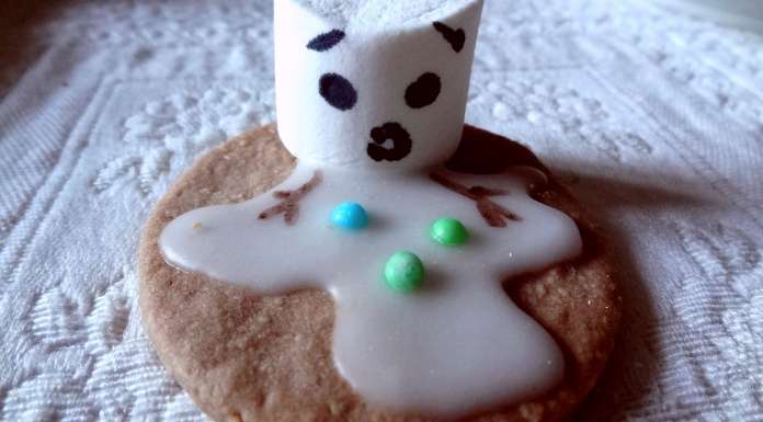 pate-a-biscuits-ideale-12