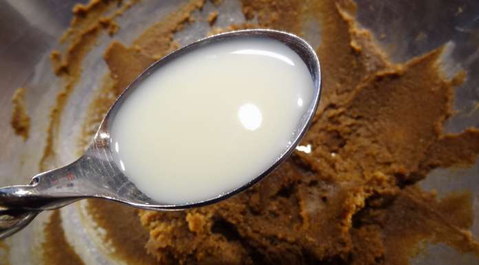 speculoos-4