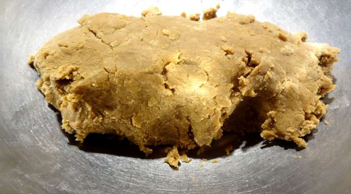 speculoos-5
