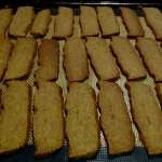 speculoos-9