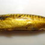 curry-de-maquereau-fume-2