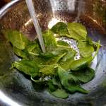 pita-a-lomelette-aux-herbes-1