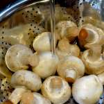 poelee-de-champignons-au-fromage-1