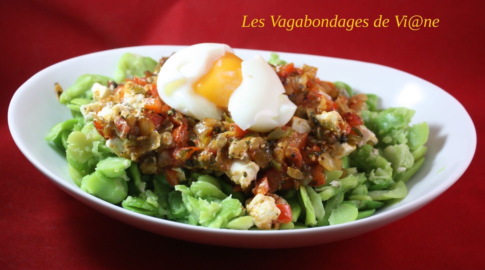 Salade de fèves (Soudan)
