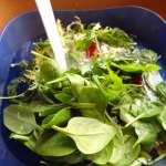 samosas-aux-herbes-1