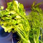 samosas-aux-herbes-2