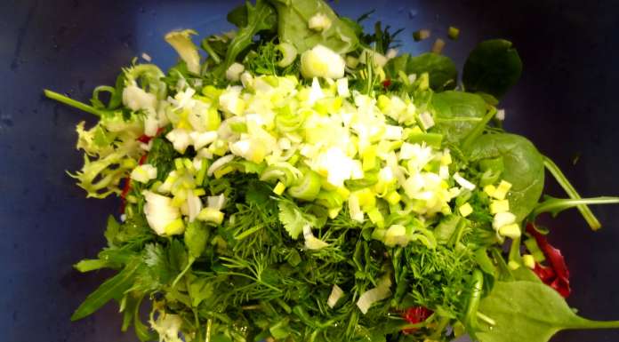 samosas-aux-herbes-4