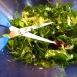 samosas-aux-herbes-7