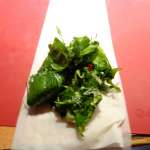 samosas-aux-herbes-8