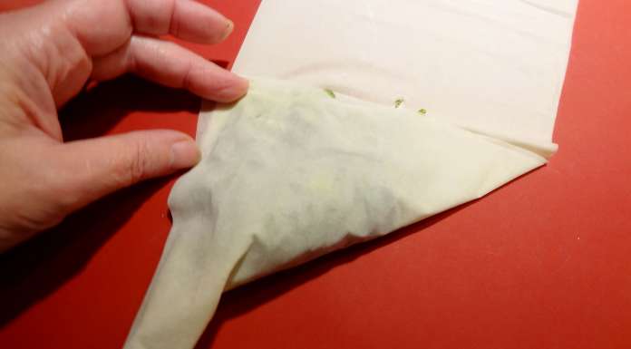samosas-aux-herbes-9