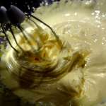 tarte-aux-daims-7