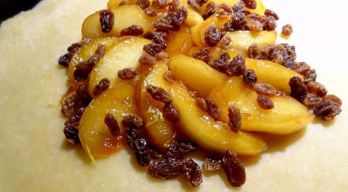 tarte-rustique-aux-pommes-18