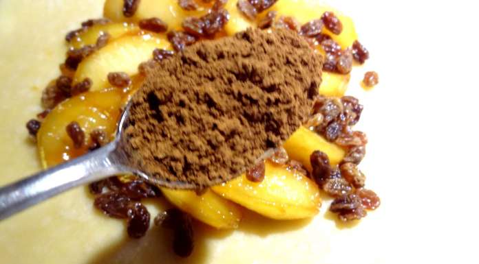 tarte-rustique-aux-pommes-19