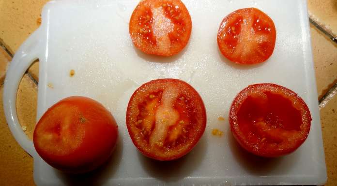 tomates-farcies-aux-sardines-1