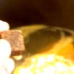 soupe-medicament-norvege-4