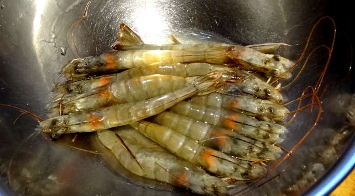 sauce-epinards-crevettes-et-poisson-fume-1