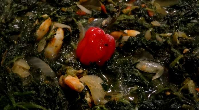 sauce-epinards-crevettes-et-poisson-fume-14