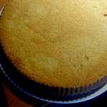 Tarte au fromage blanc en crumble 10