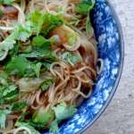 Nouilles de riz à l&rsquo;asiatique