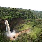 cameroun 1