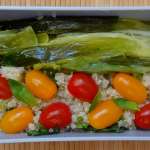 Bento 9 1