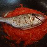 couscous au poisson 13